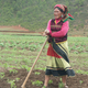A Mosuo farmer. (Photo: Zoharby/Wikipedia/goo.gl/MsMWxc)
